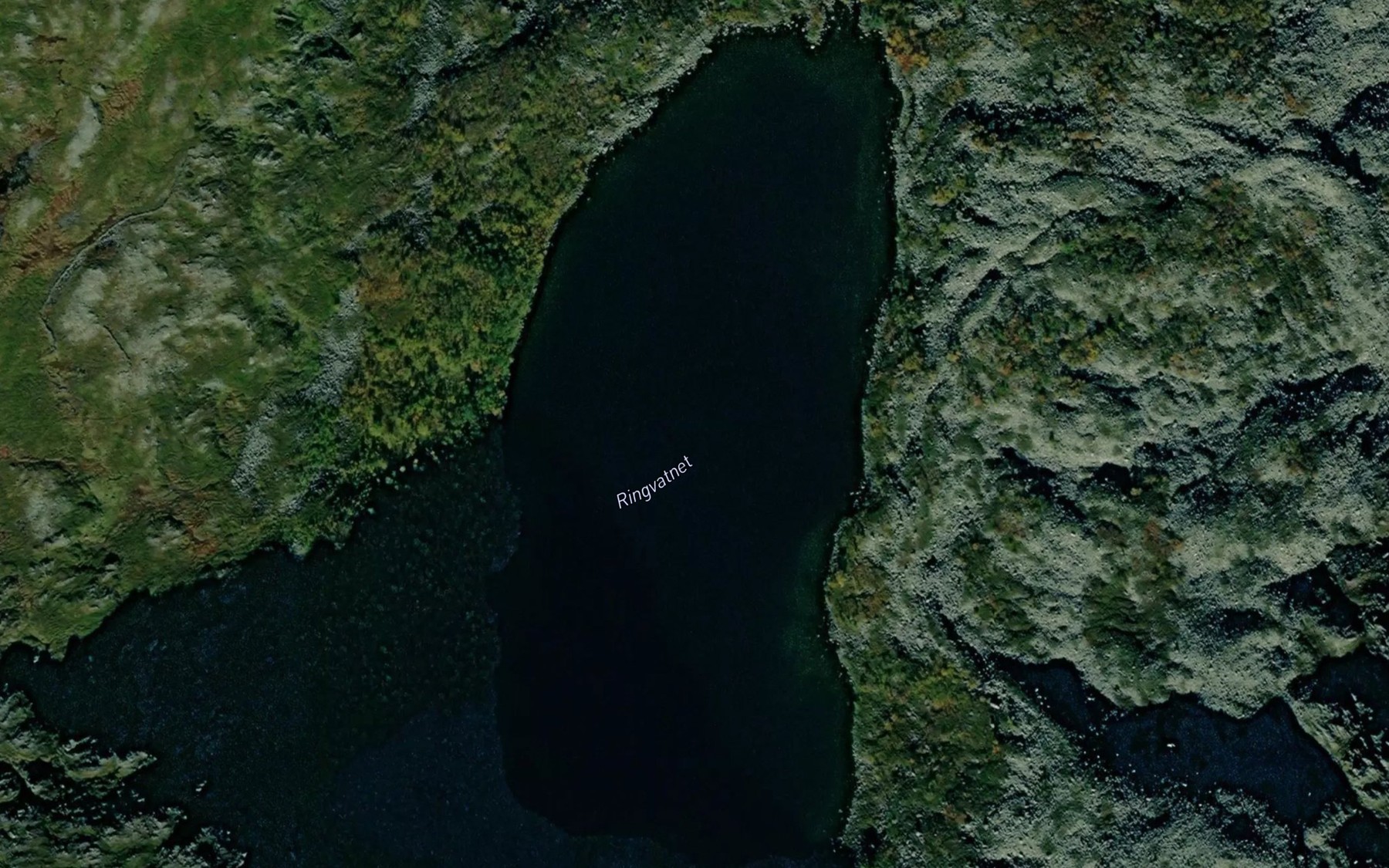 Satellite map of the Ringvannet