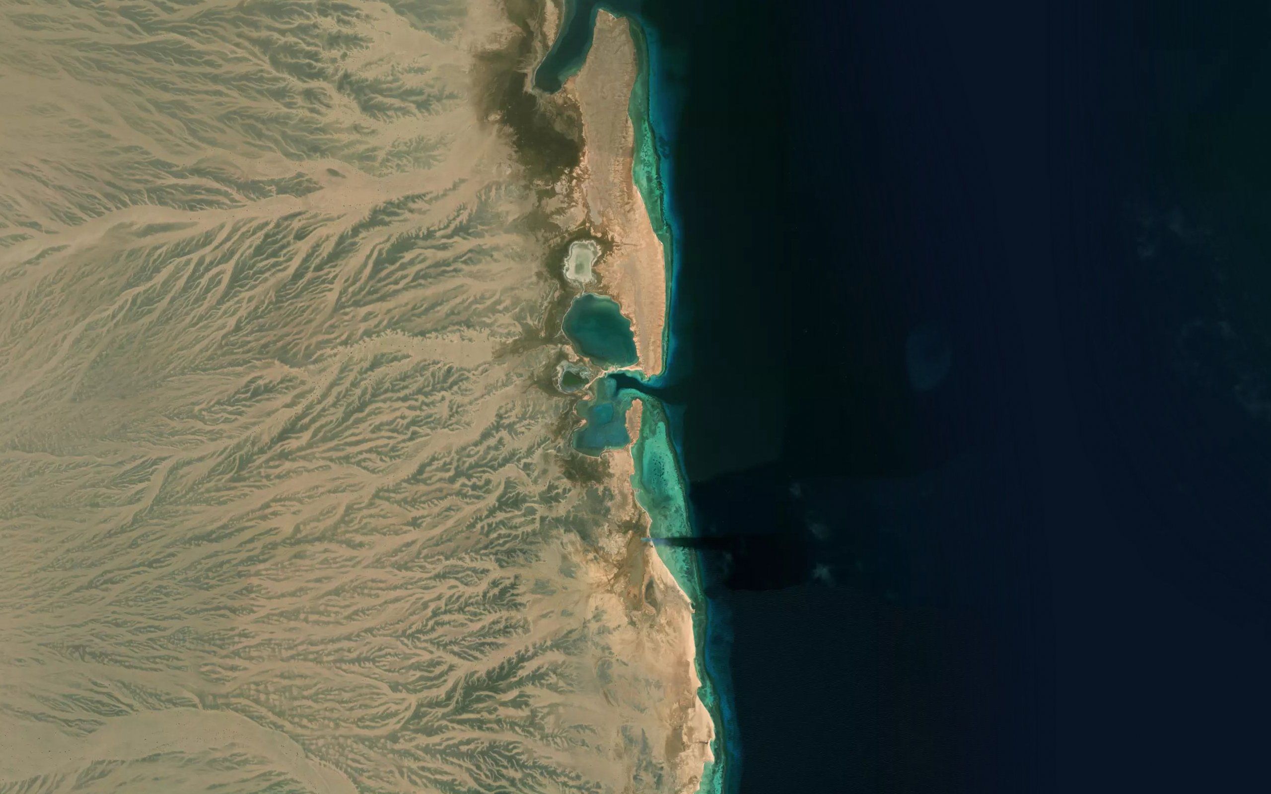 Marsa Tankefal