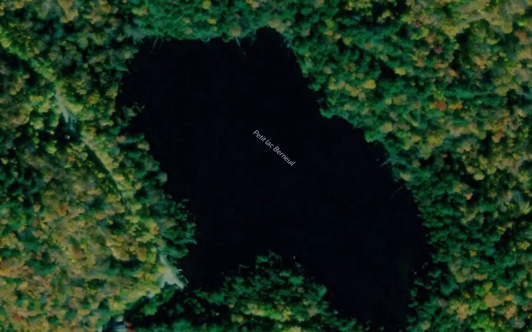 Satellite map of the Petit lac Berneuil