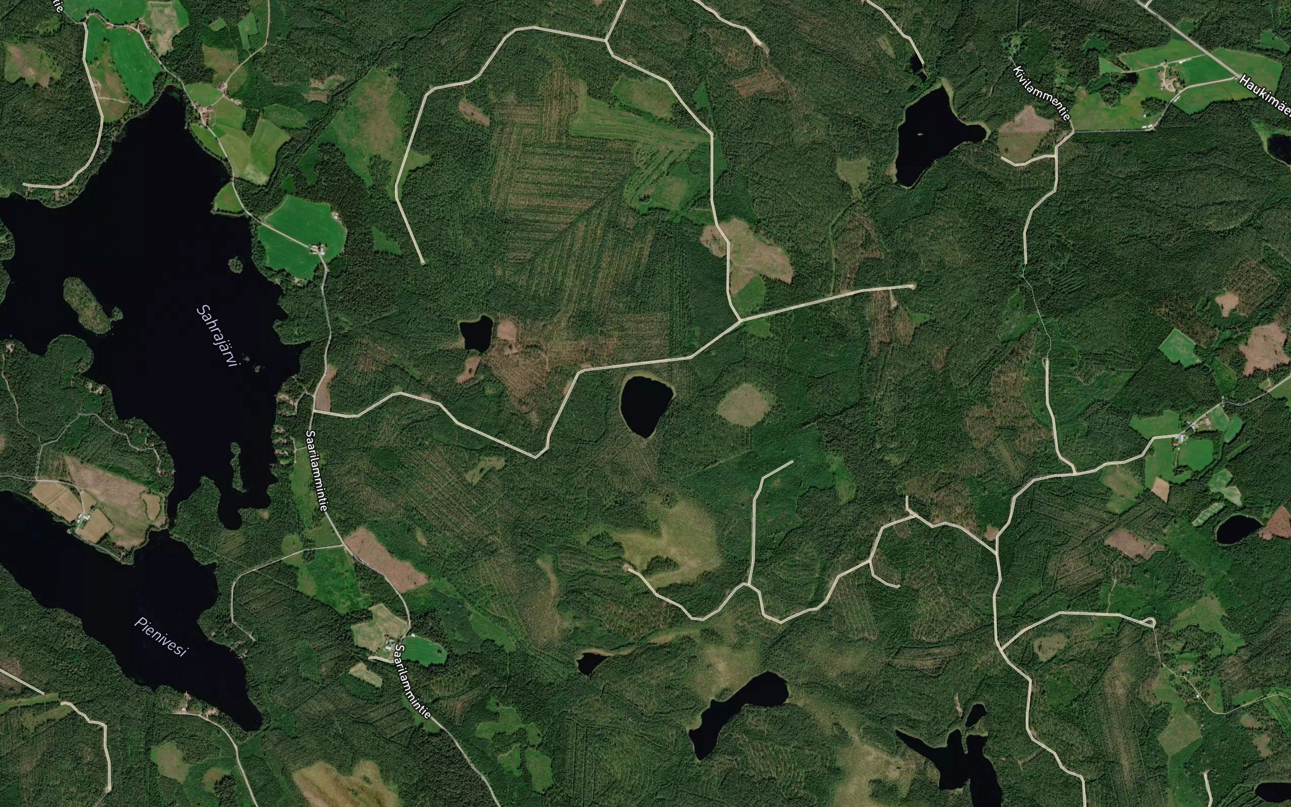 Valkealampi
