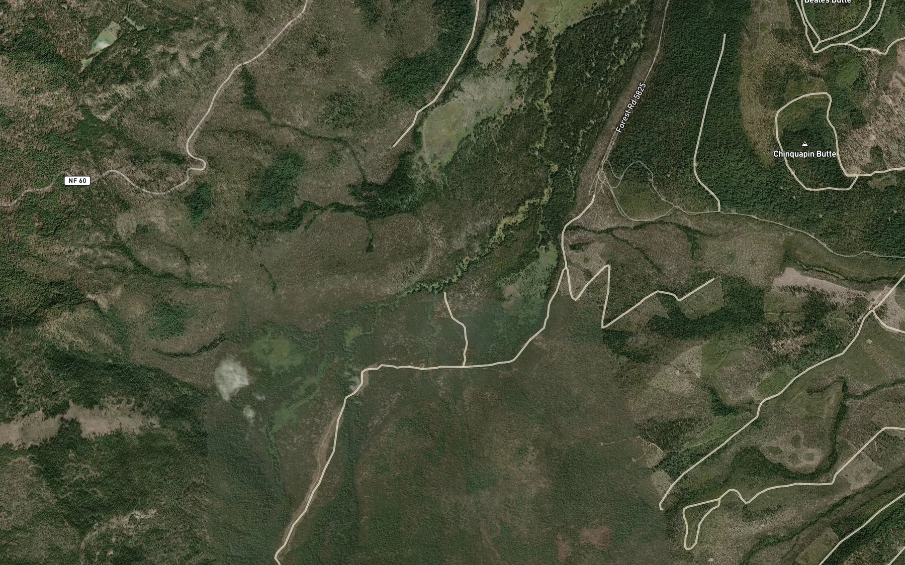 Satellite map of the Otter Creek