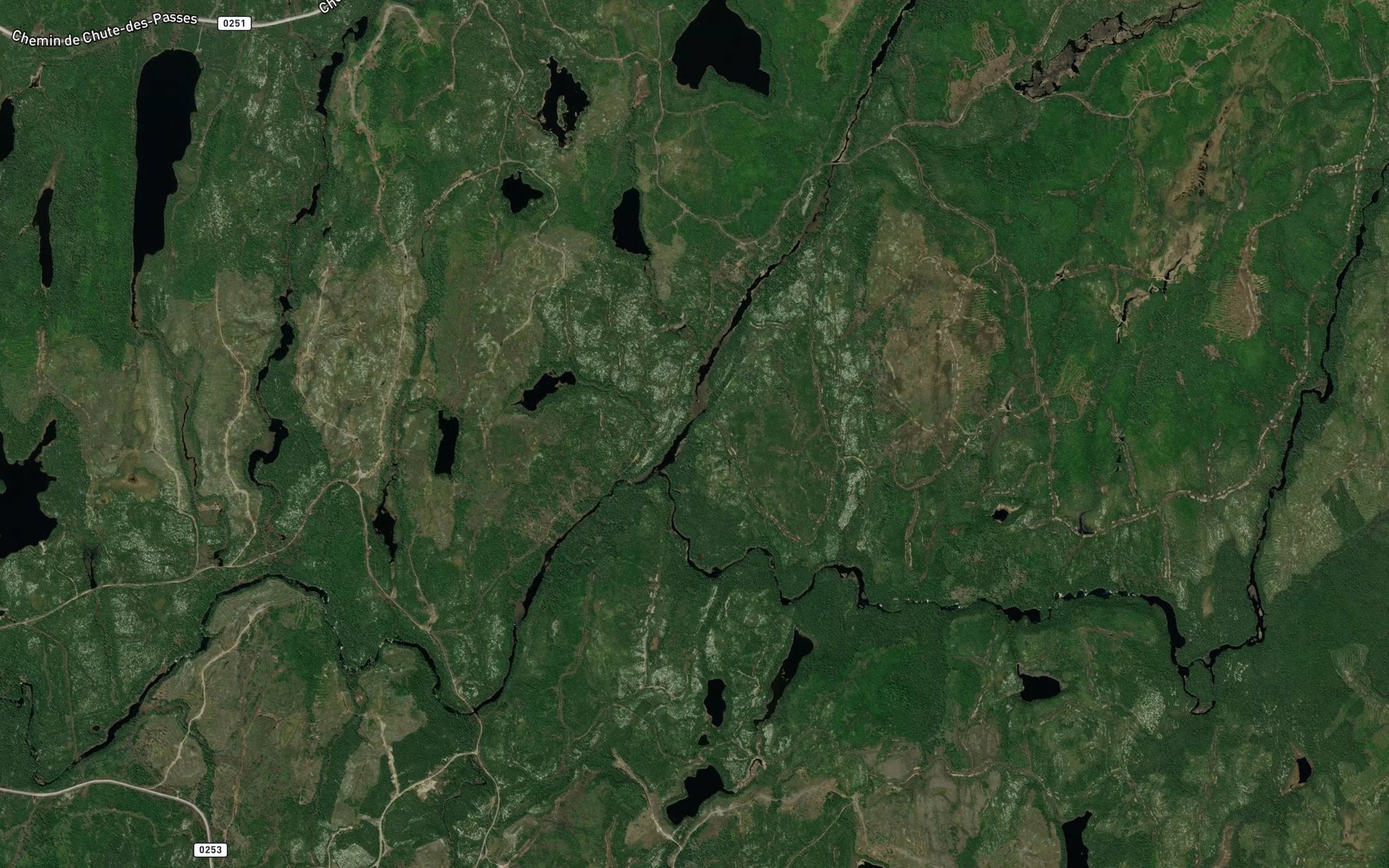 Satellite map of the Ruisseau Savane