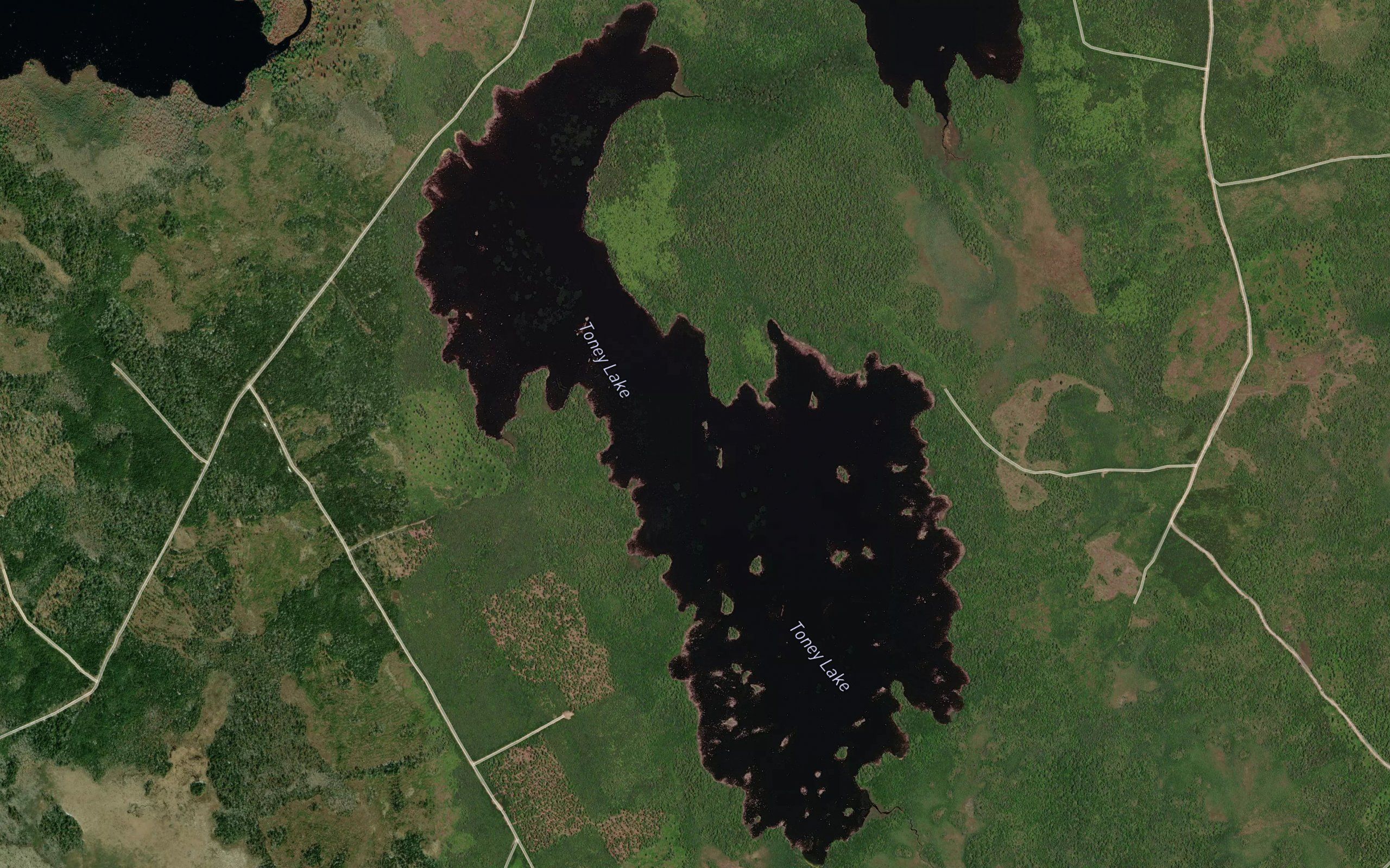 Toney Lake