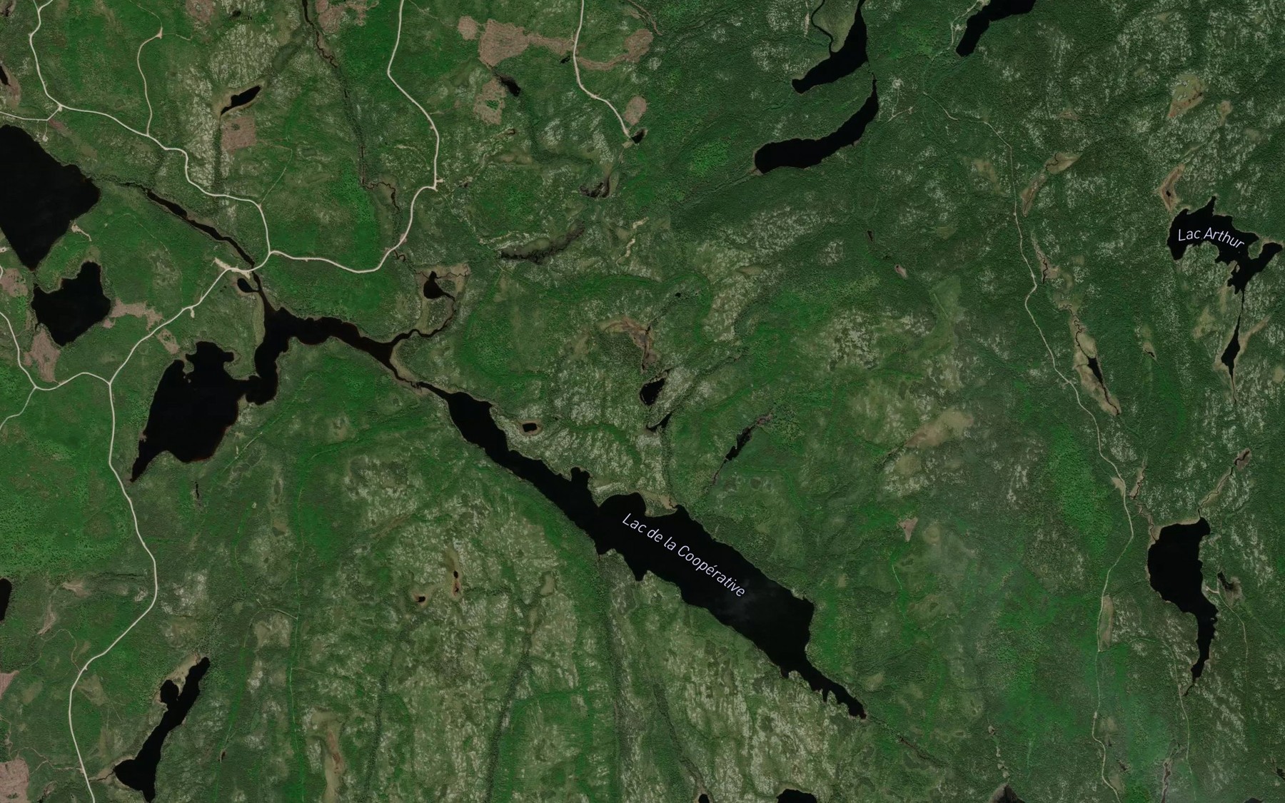 Satellite map of the Lac de la Faux