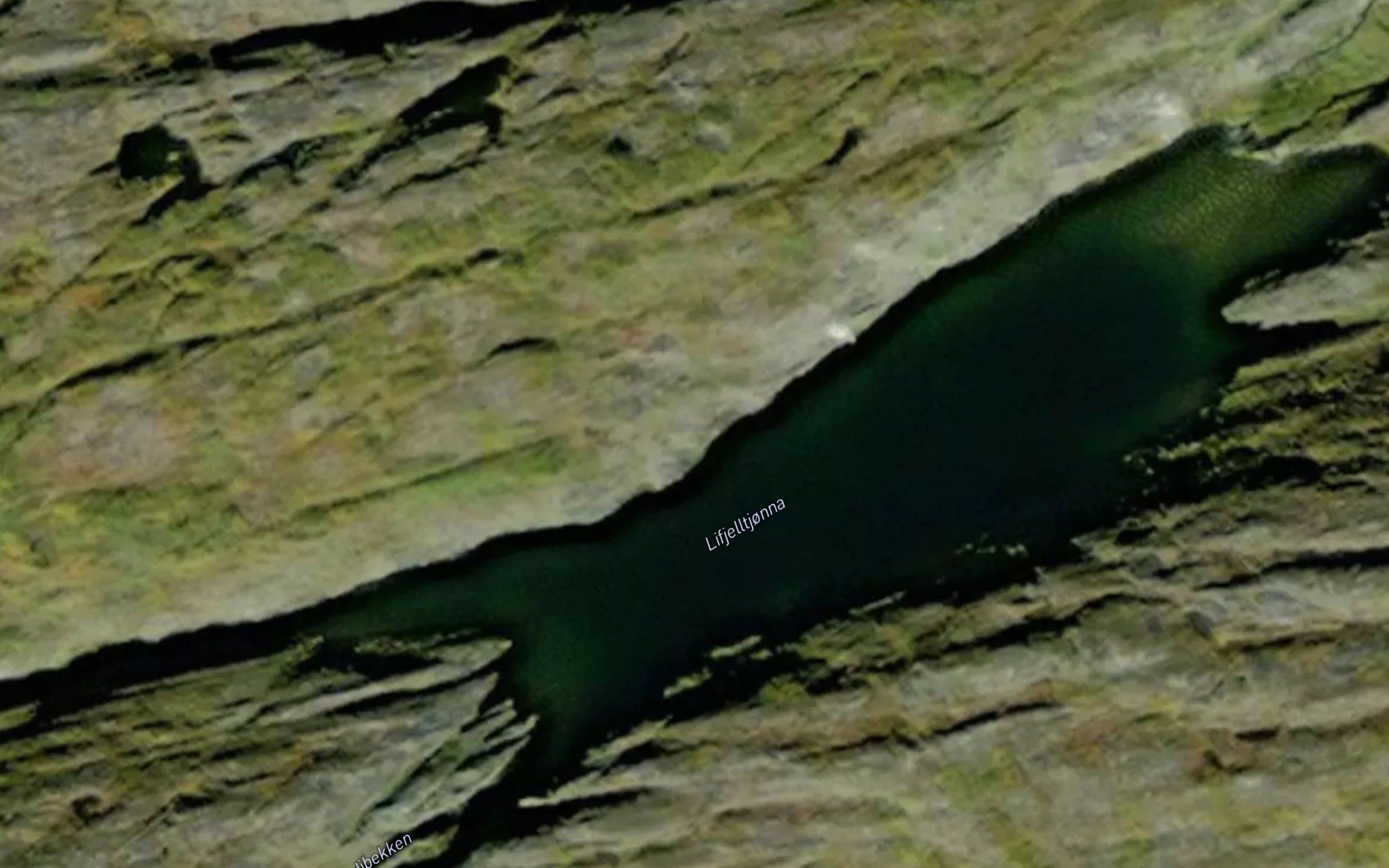 Lifjelltjonna