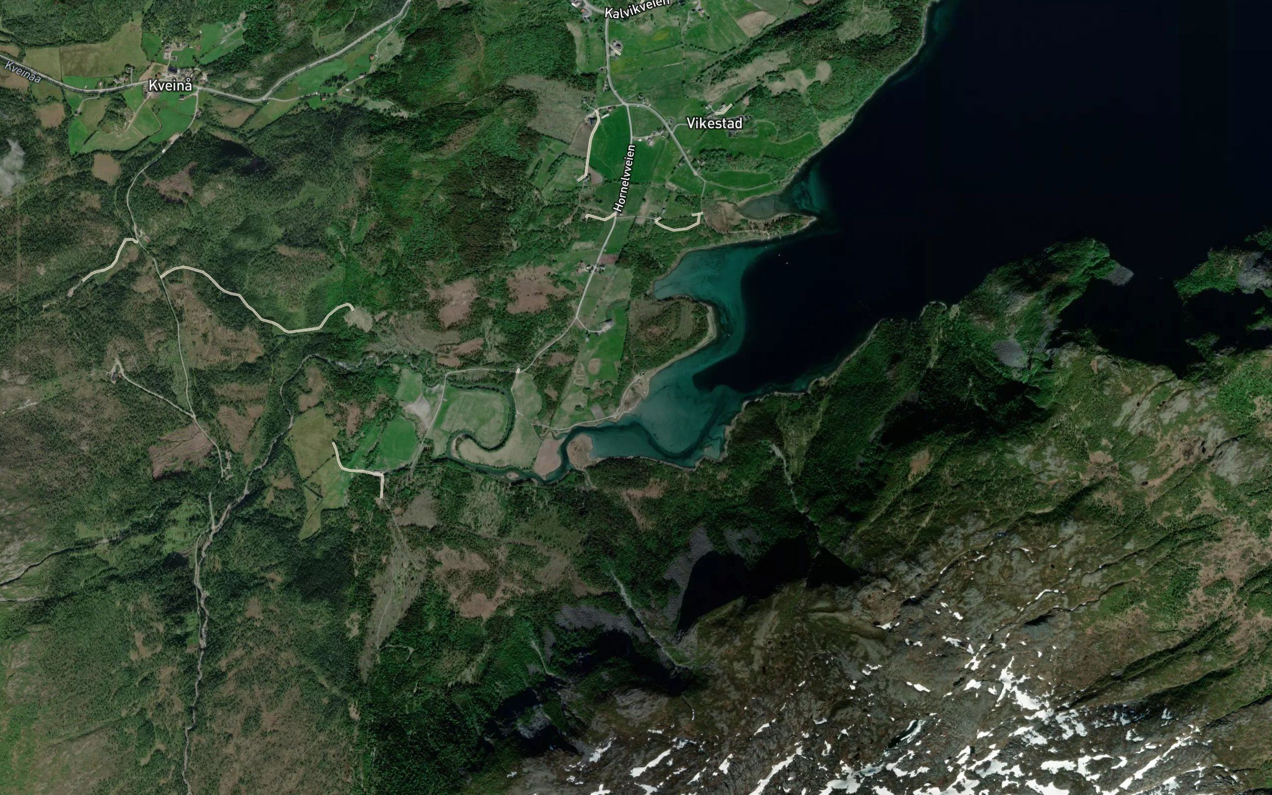 Livnesleira