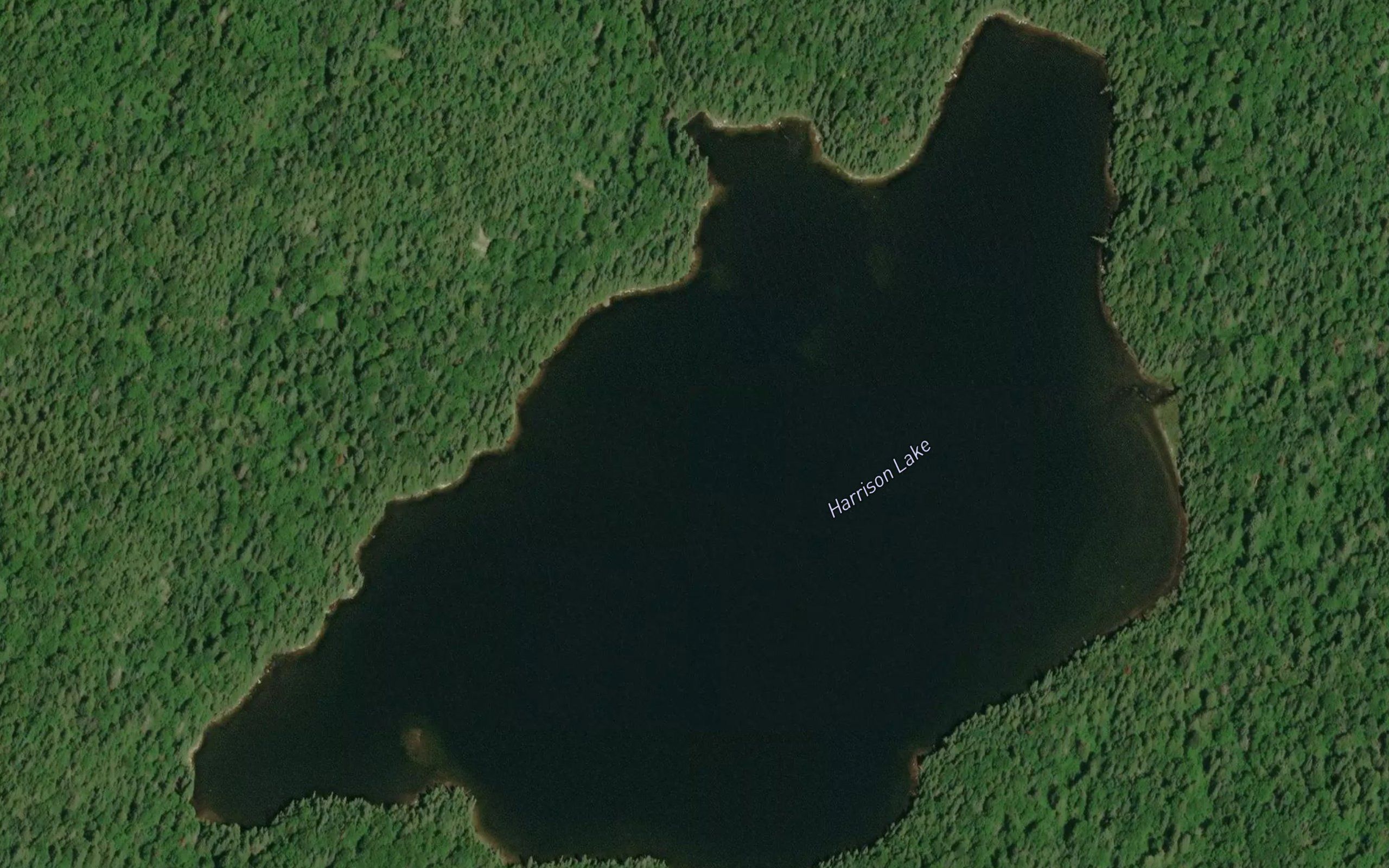 Harrison Lake