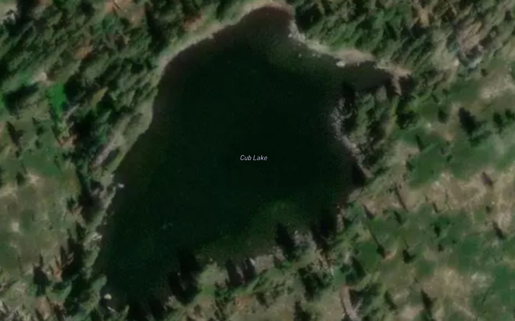 Satellite map of the Cub Lake