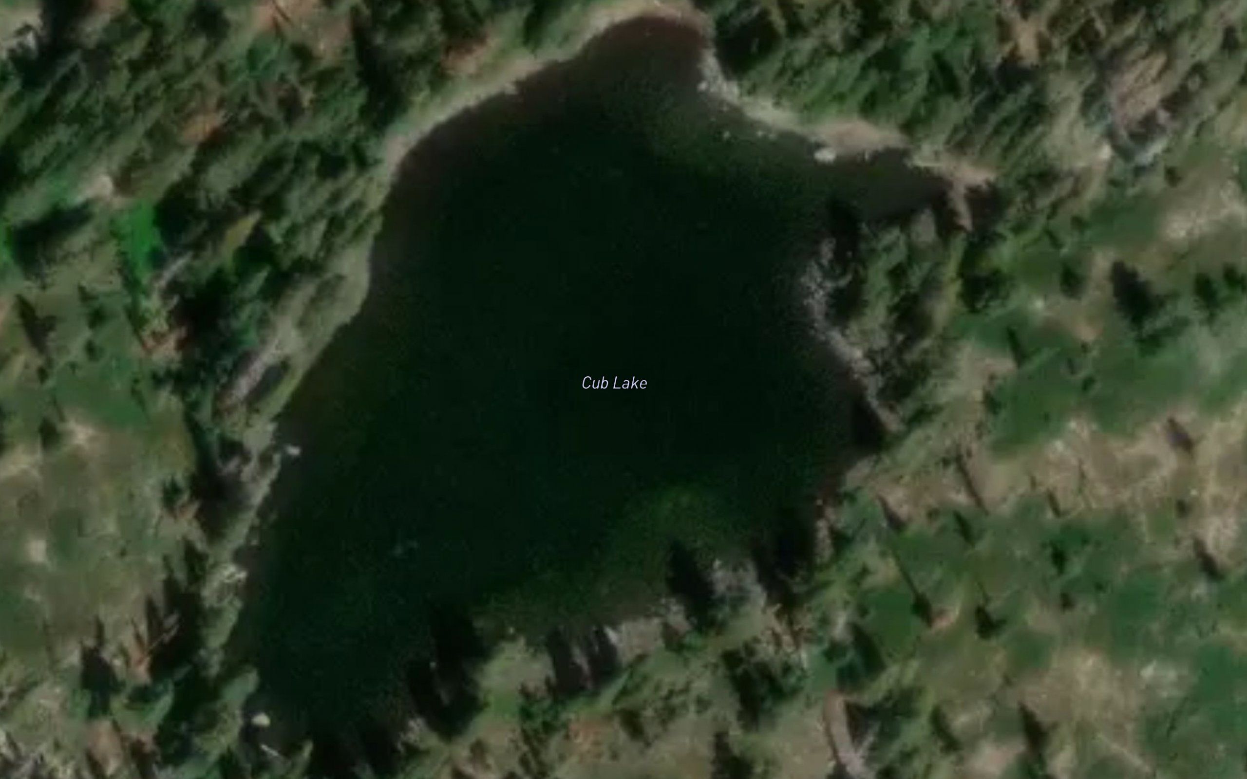 Cub Lake