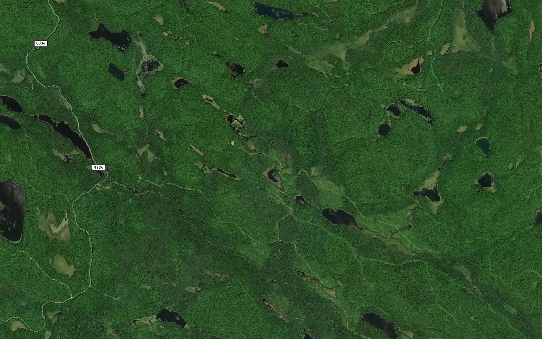 Satellite map of the Lac du Felin