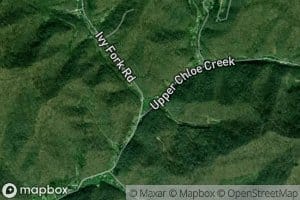 Ivy Fork