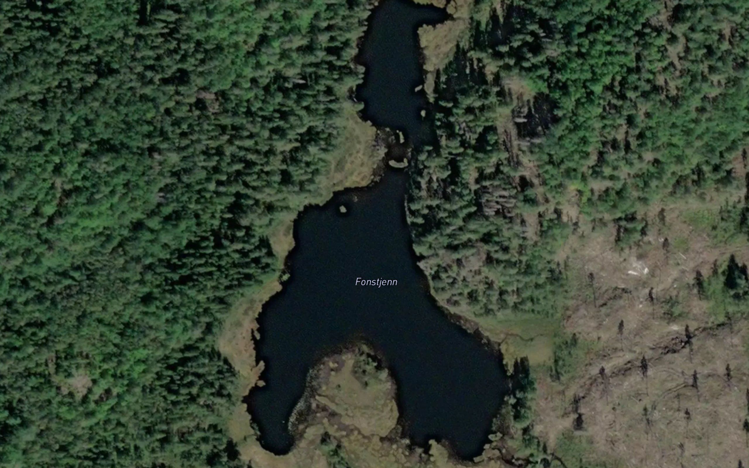 Fonetjern