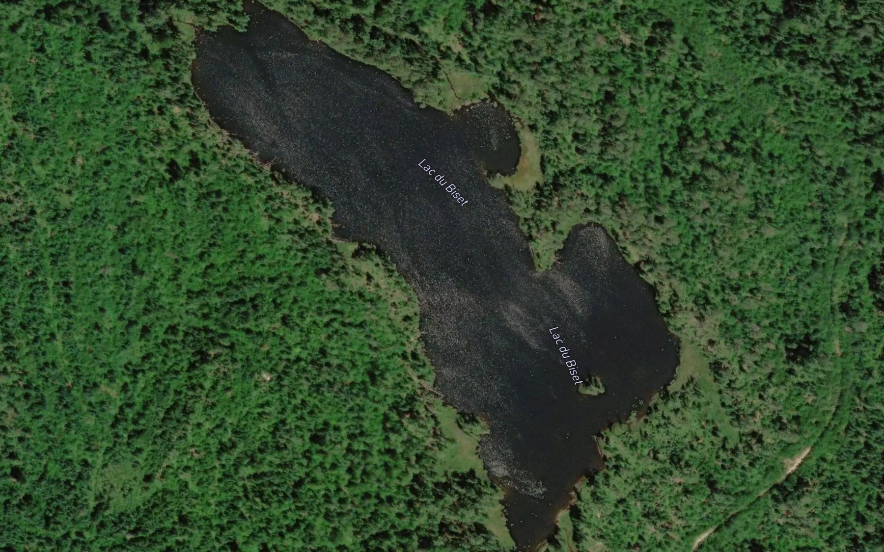 Satellite map of the Lac du Biset