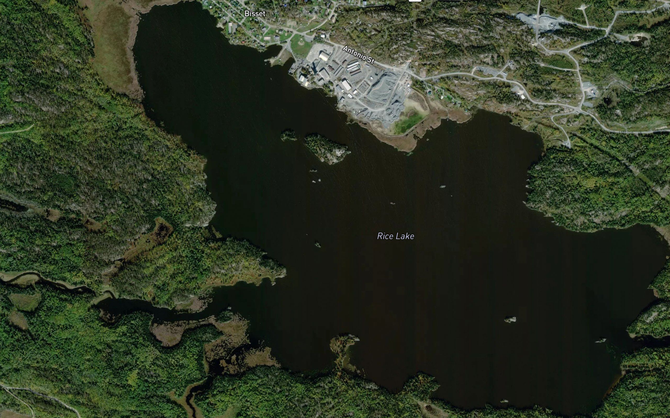 Rice Lake