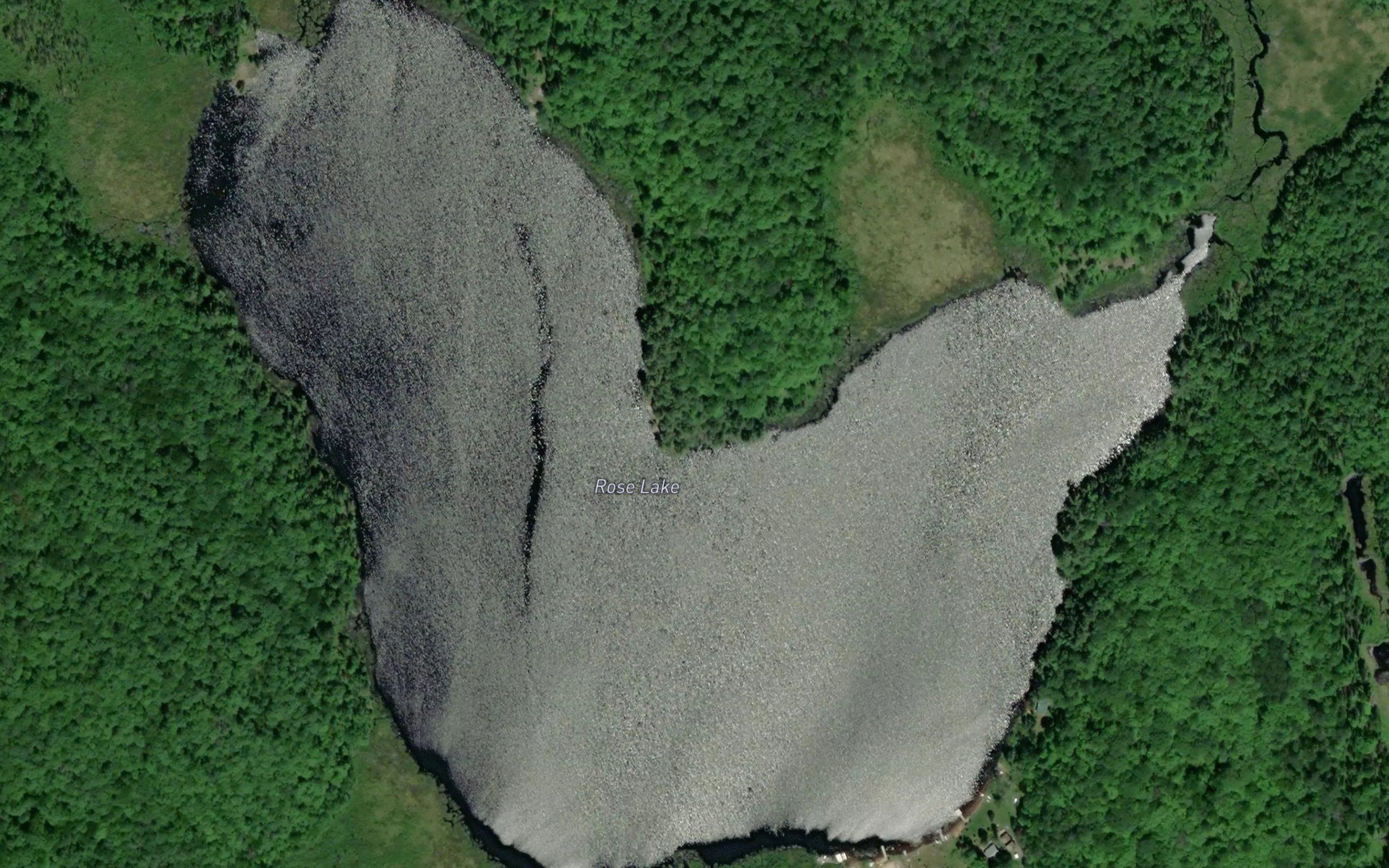 Rose Lake