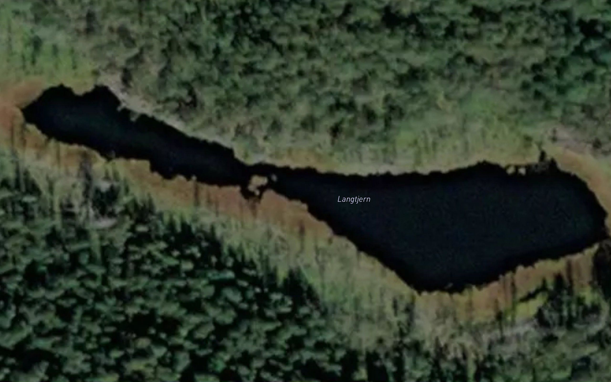 Langtjenn