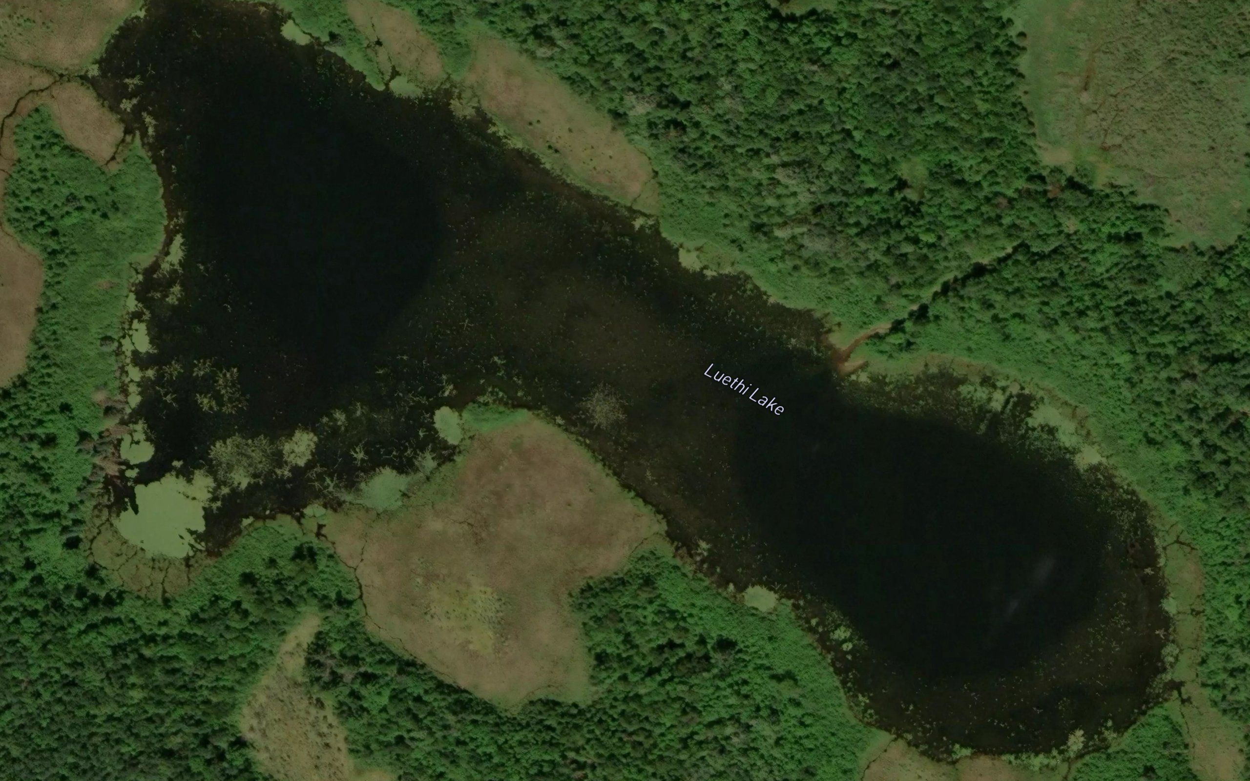 Luethi Lake