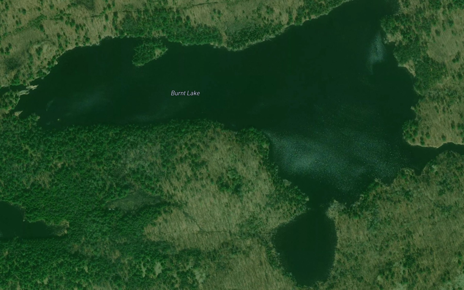 Satellite map of the Burnt Lake