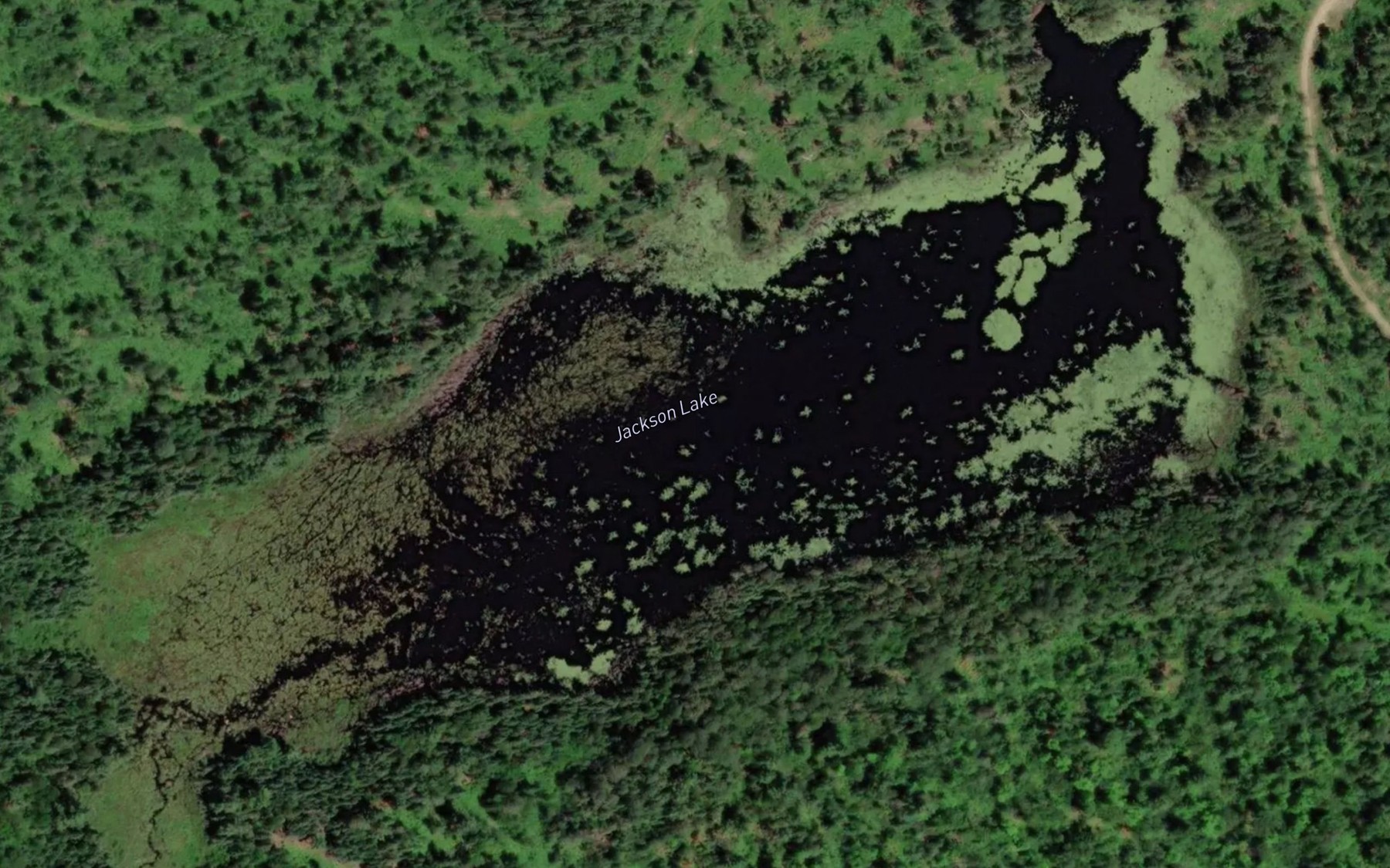 Satellite map of the Jackson Lake