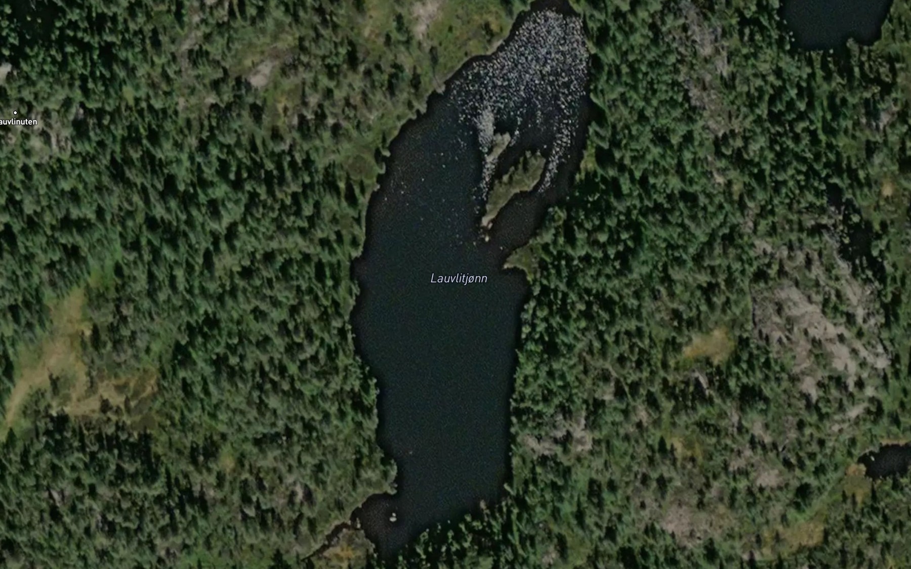 Satellite map of the Lauvlitjonn