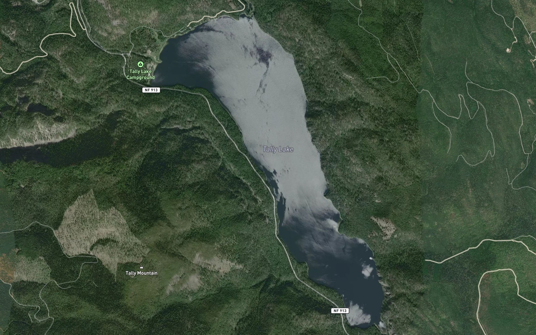 Satellite map of the Tally Lake