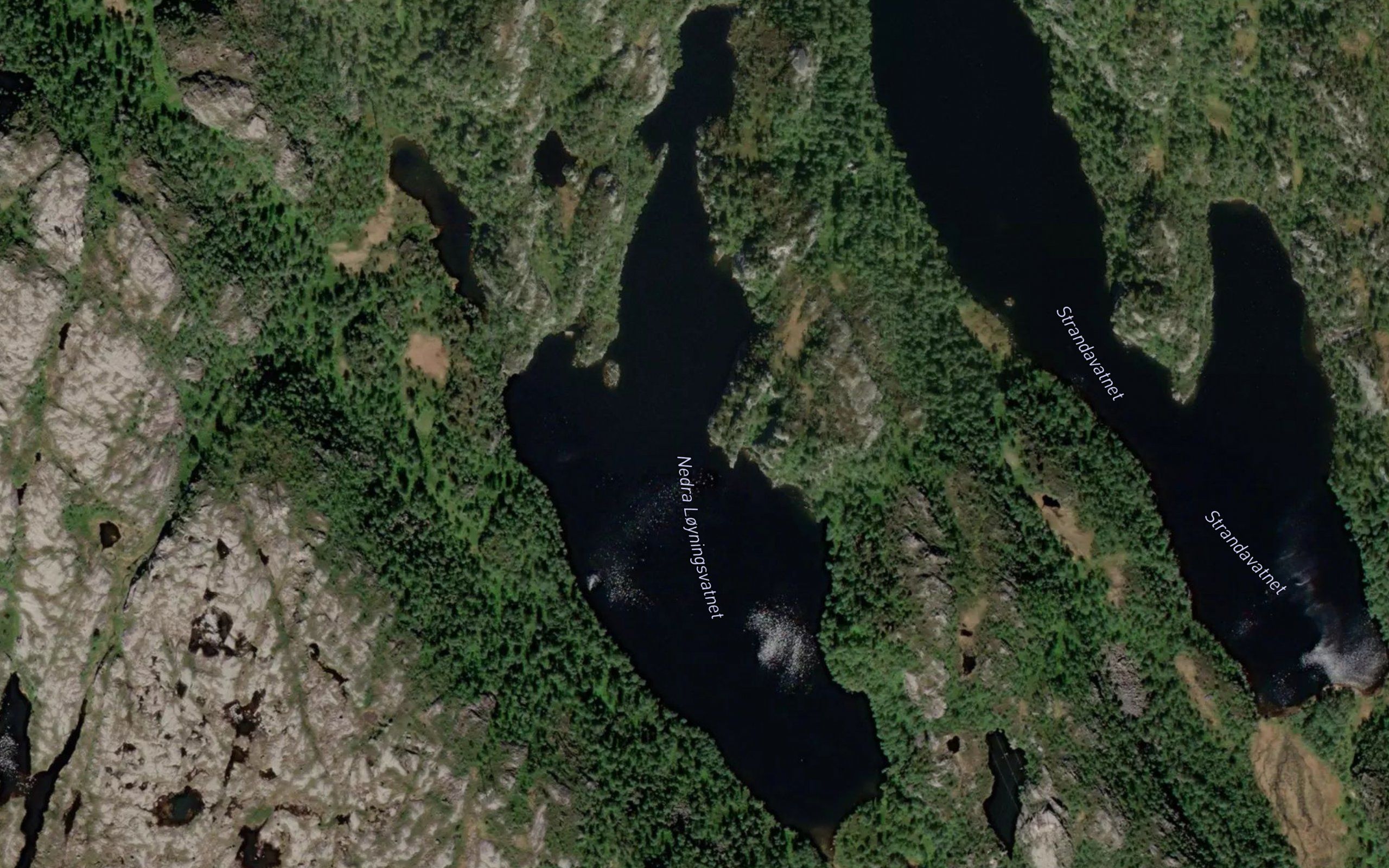 Nedre Loyningsvatnet