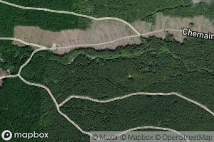 Reynard Creek