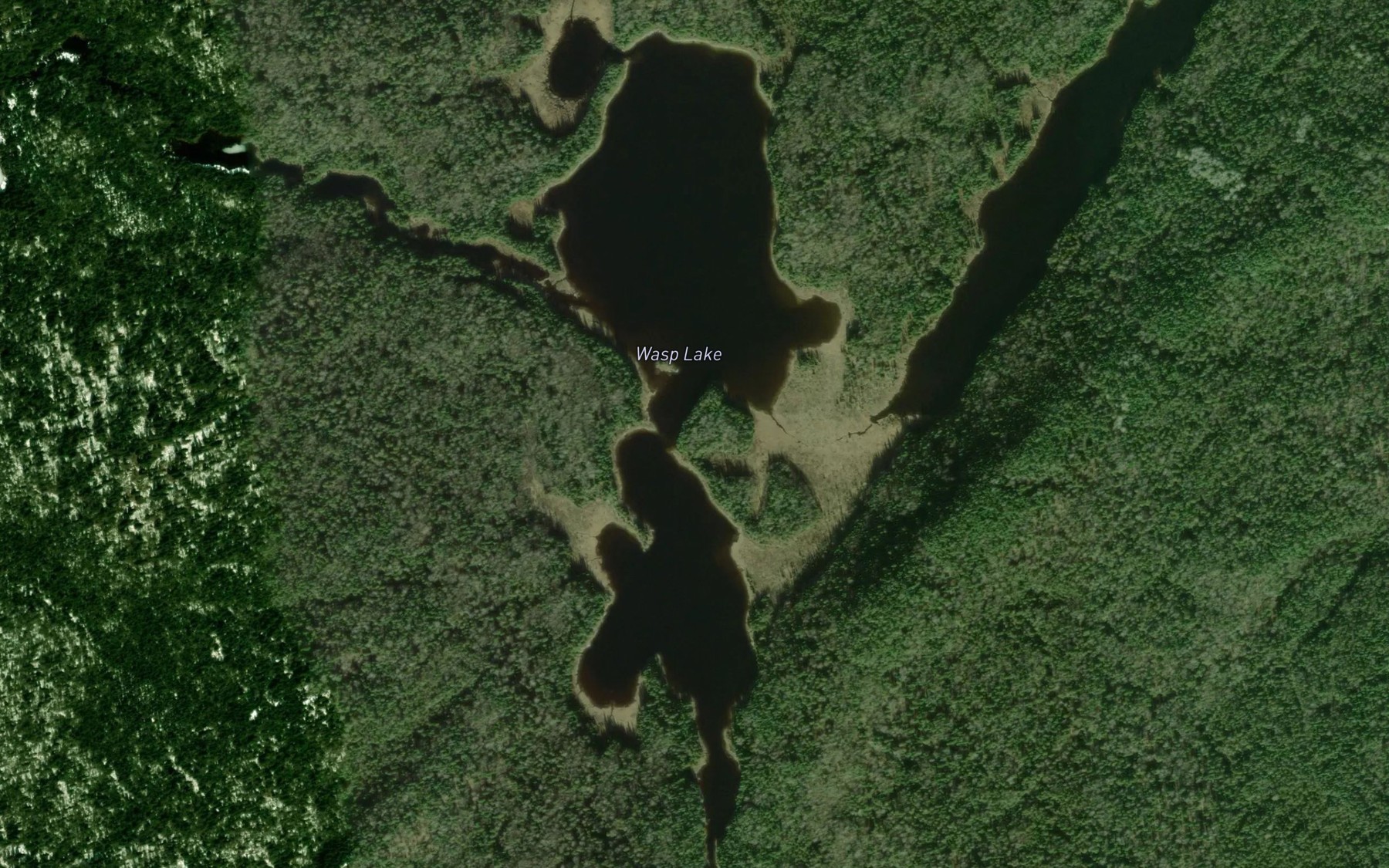 Satellite map of the Wasp Lake