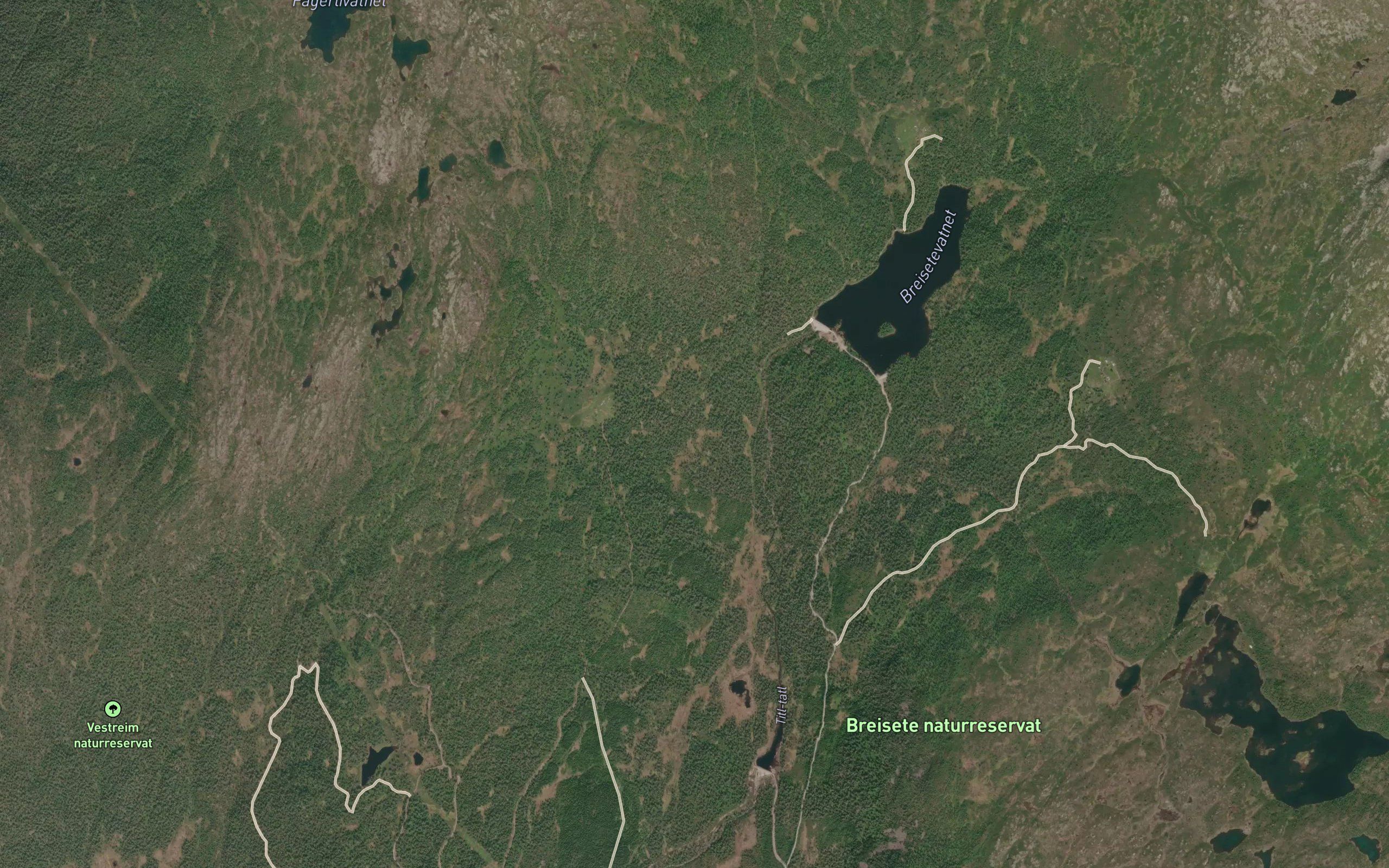 Kyrkjedalsgrovi