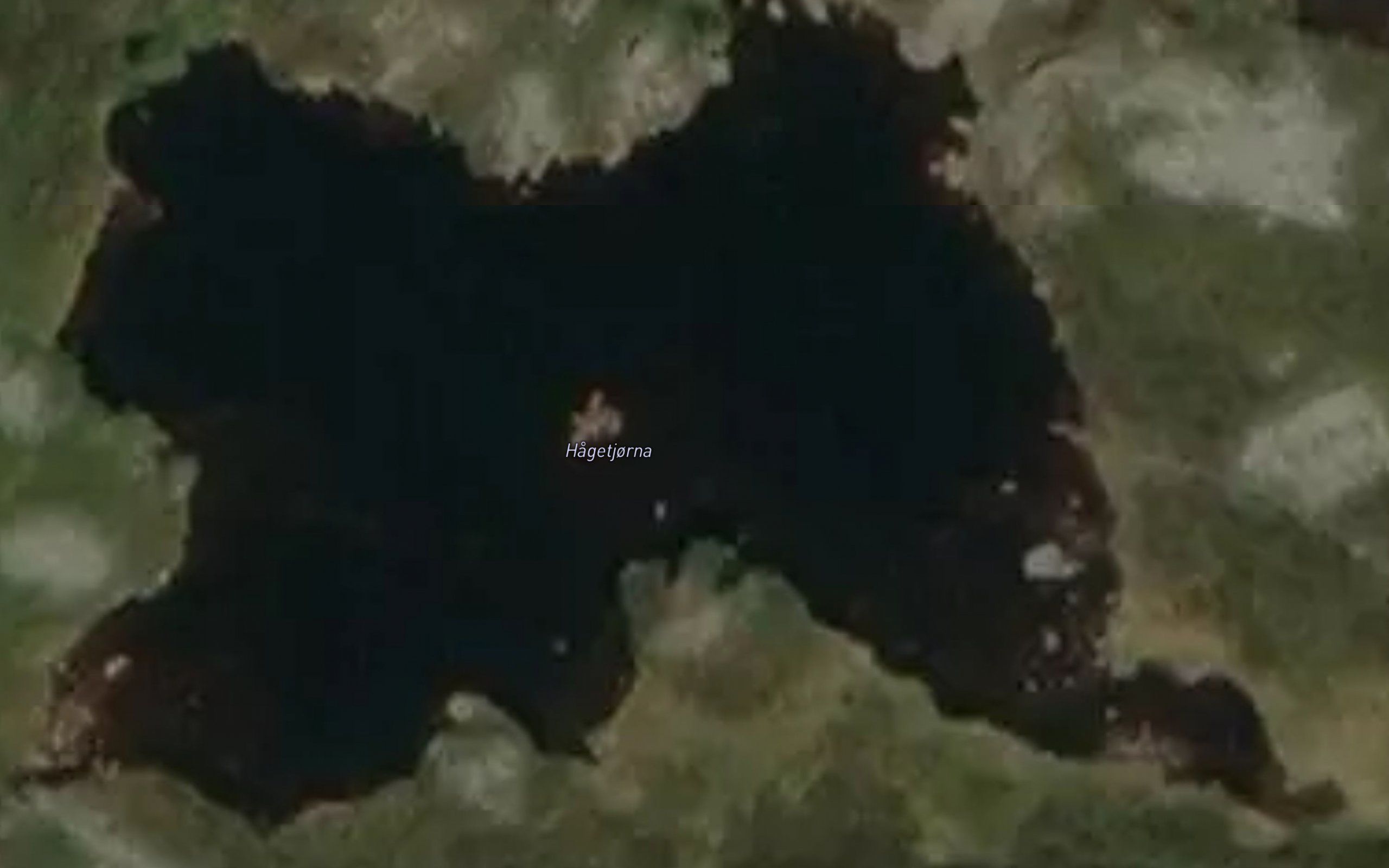 Hagetjorna