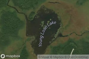 Young Loon Lake