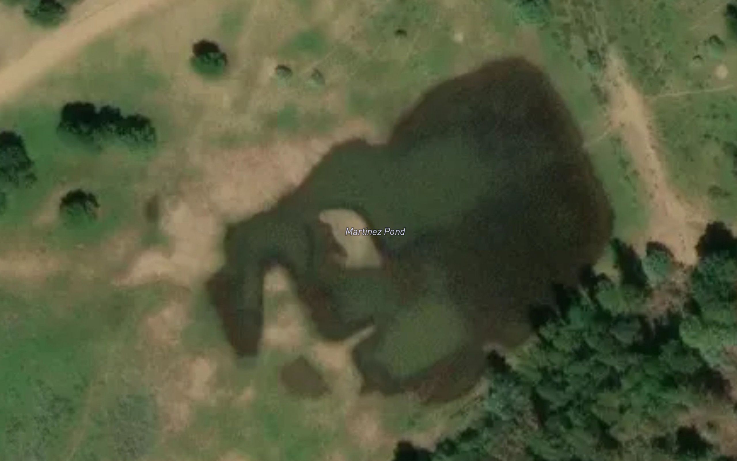 Martinez Pond