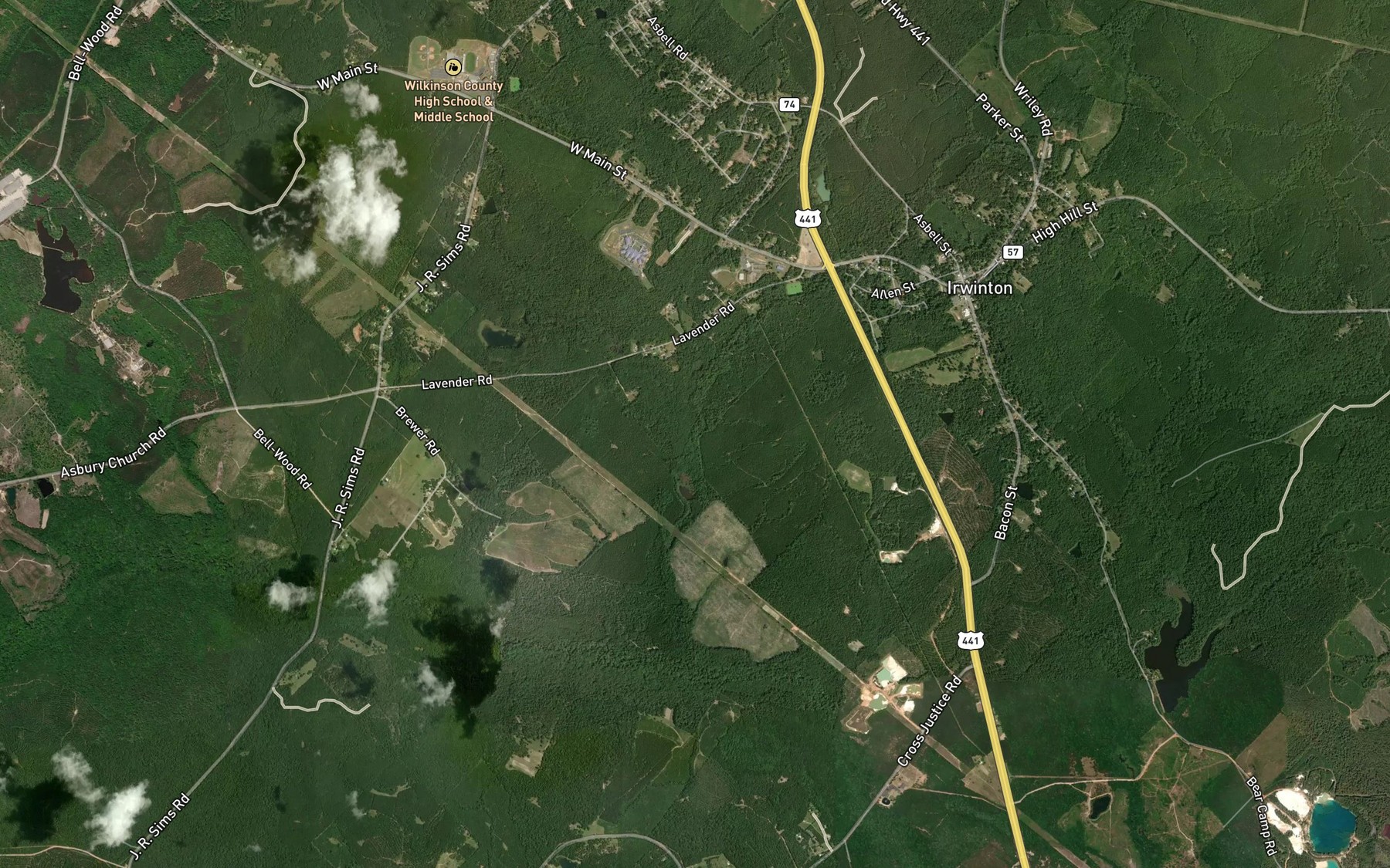 Satellite map of the Town Branch