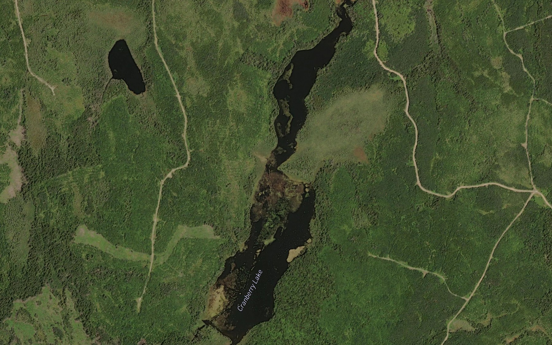 Cranberry Lake Fishing near Parrsboro, NS | Fishbox