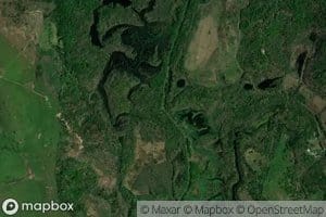 Persimmon Creek