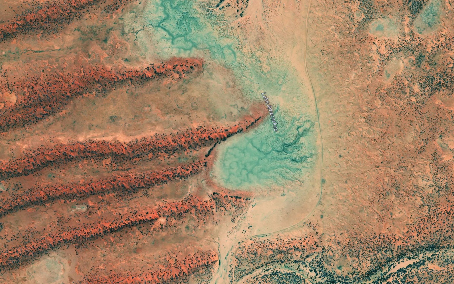 Satellite map of the Lake Amerarkoo
