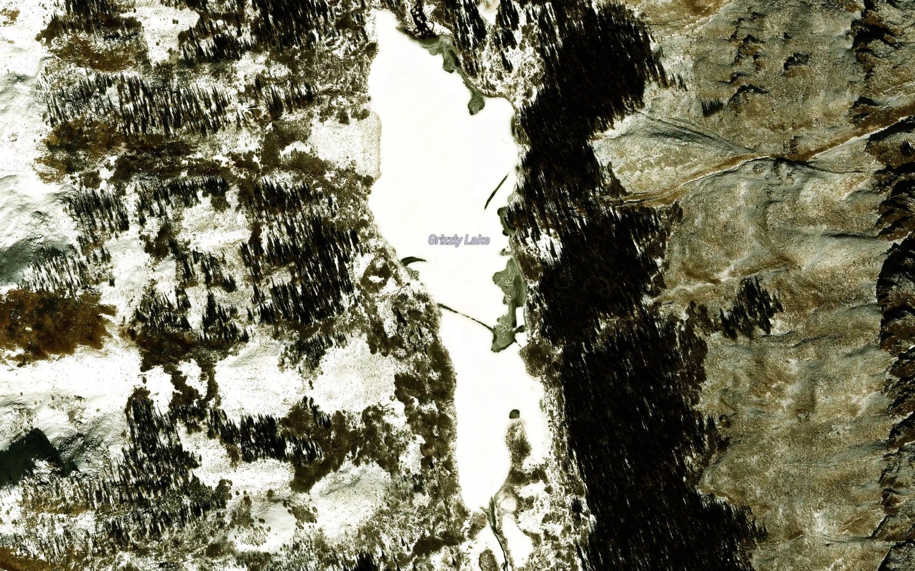 Satellite map of the Grizzly Lake