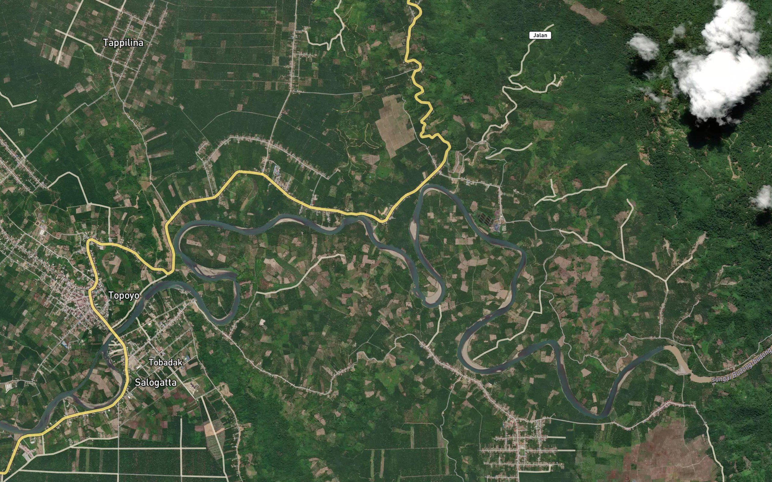 Salu Tangkau