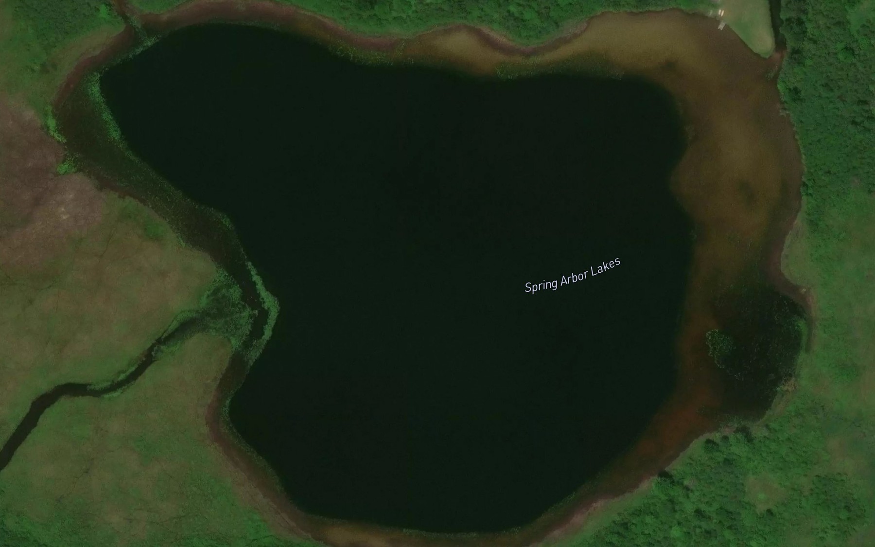 Satellite map of the Spring Arbor Lakes