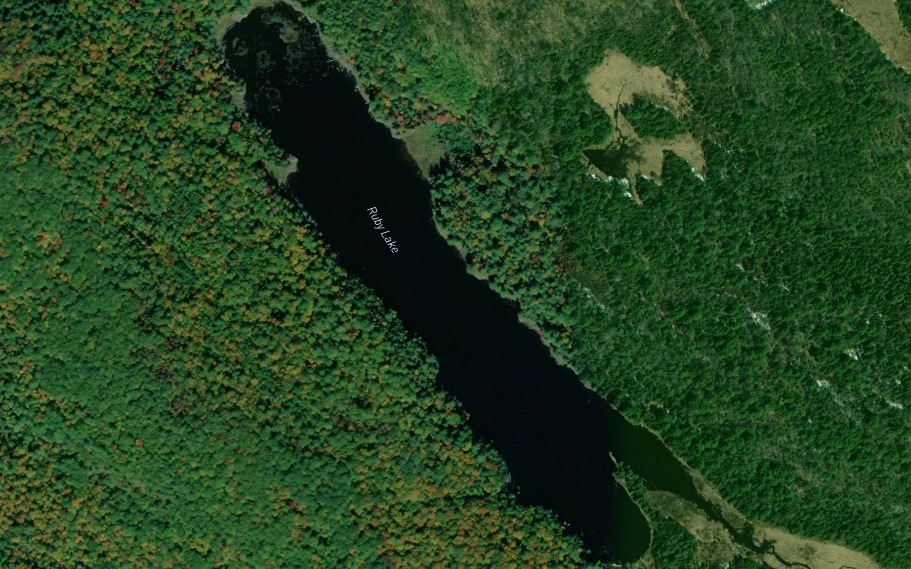 Satellite map of the Ruby Lake