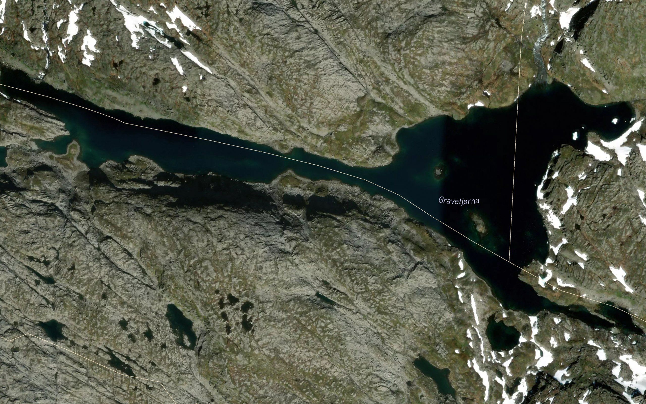 Gravetjorna