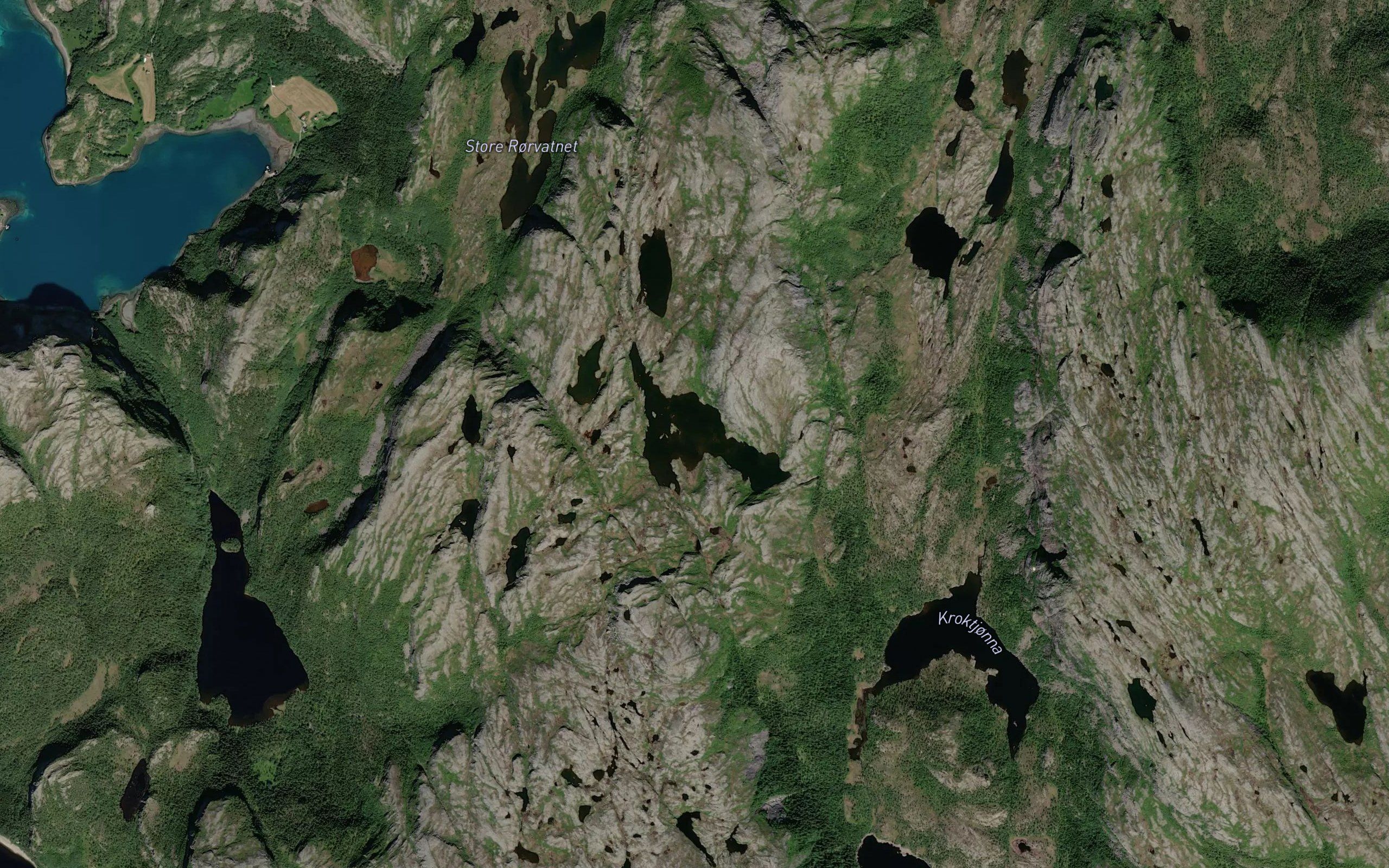 Steintjonna