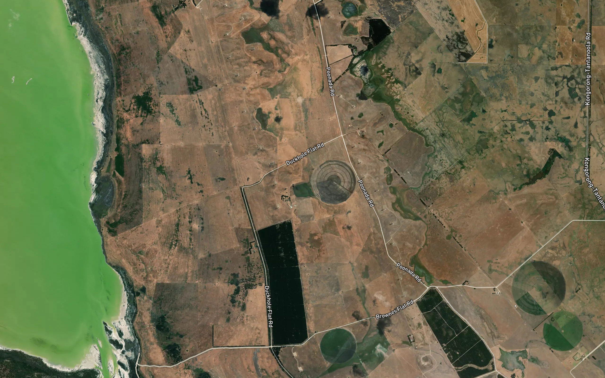 The Duck Hole