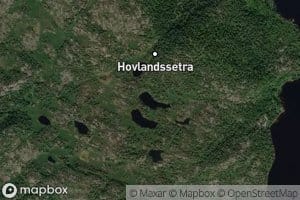 Lauvviktjonnane