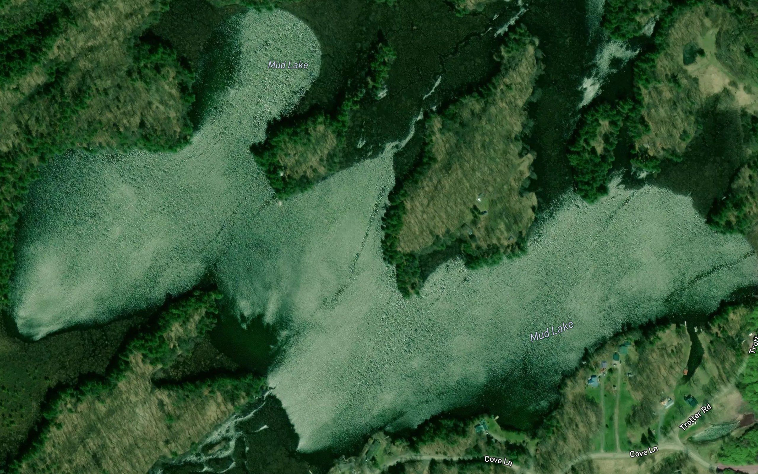 Mud Lake