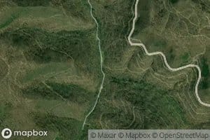 Road Fork