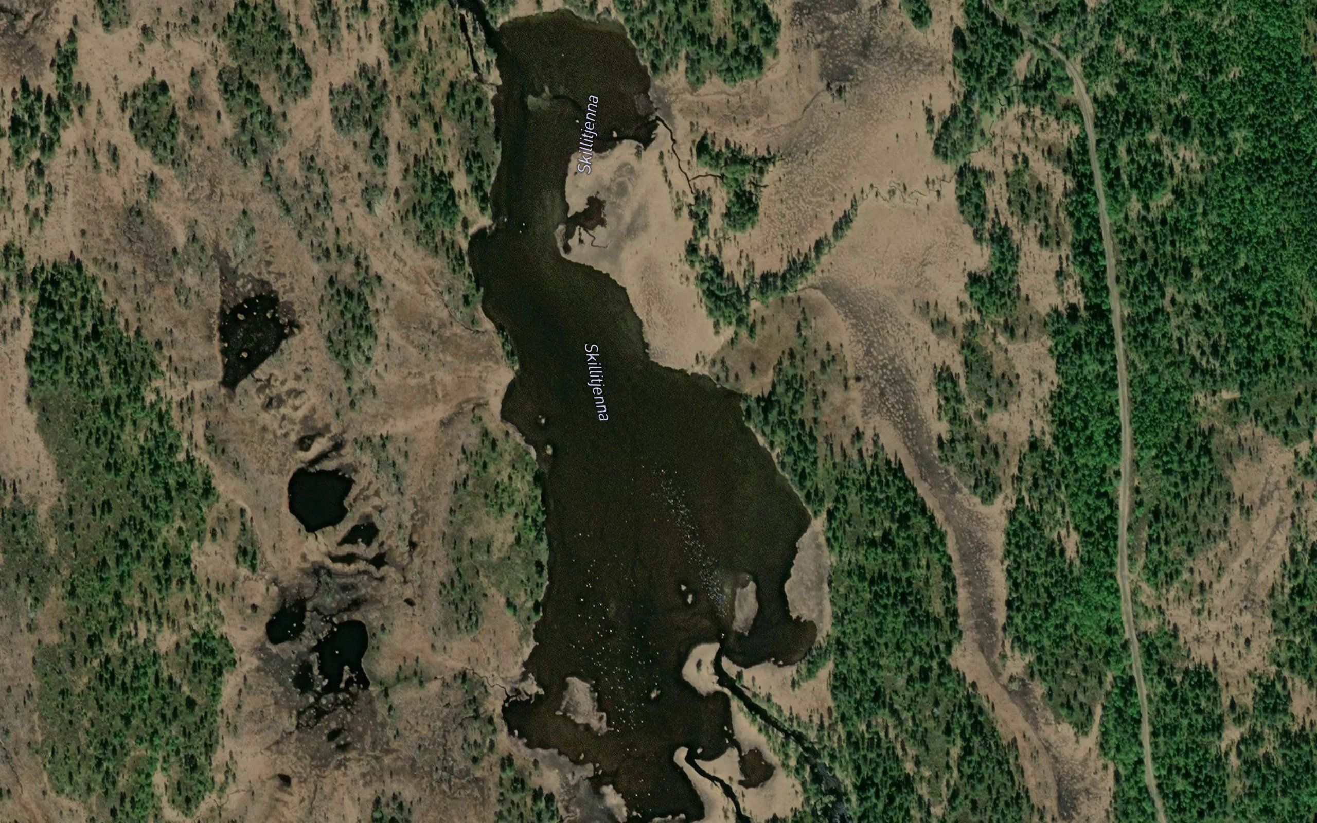Skjellitjorna