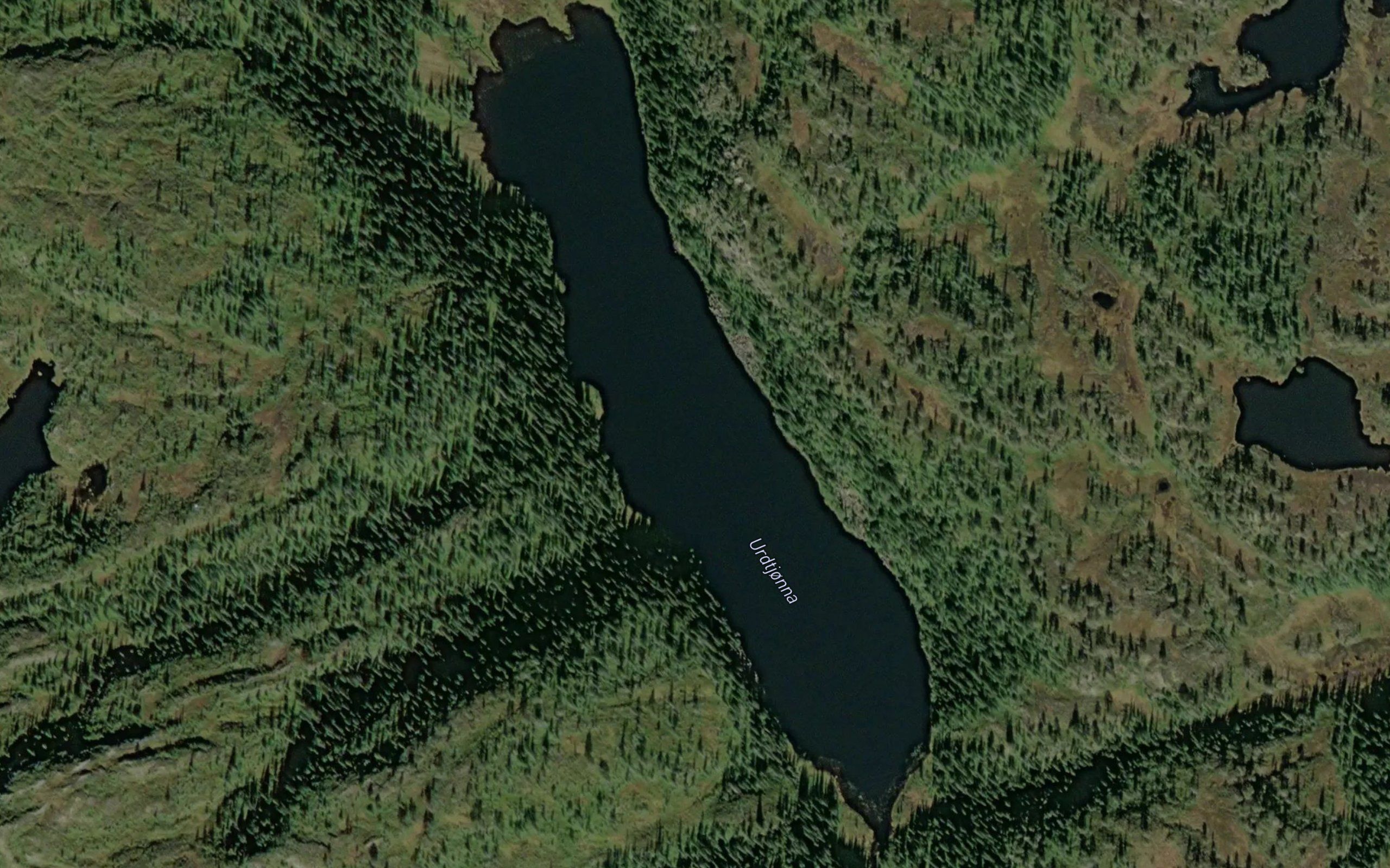 Urdtjorna