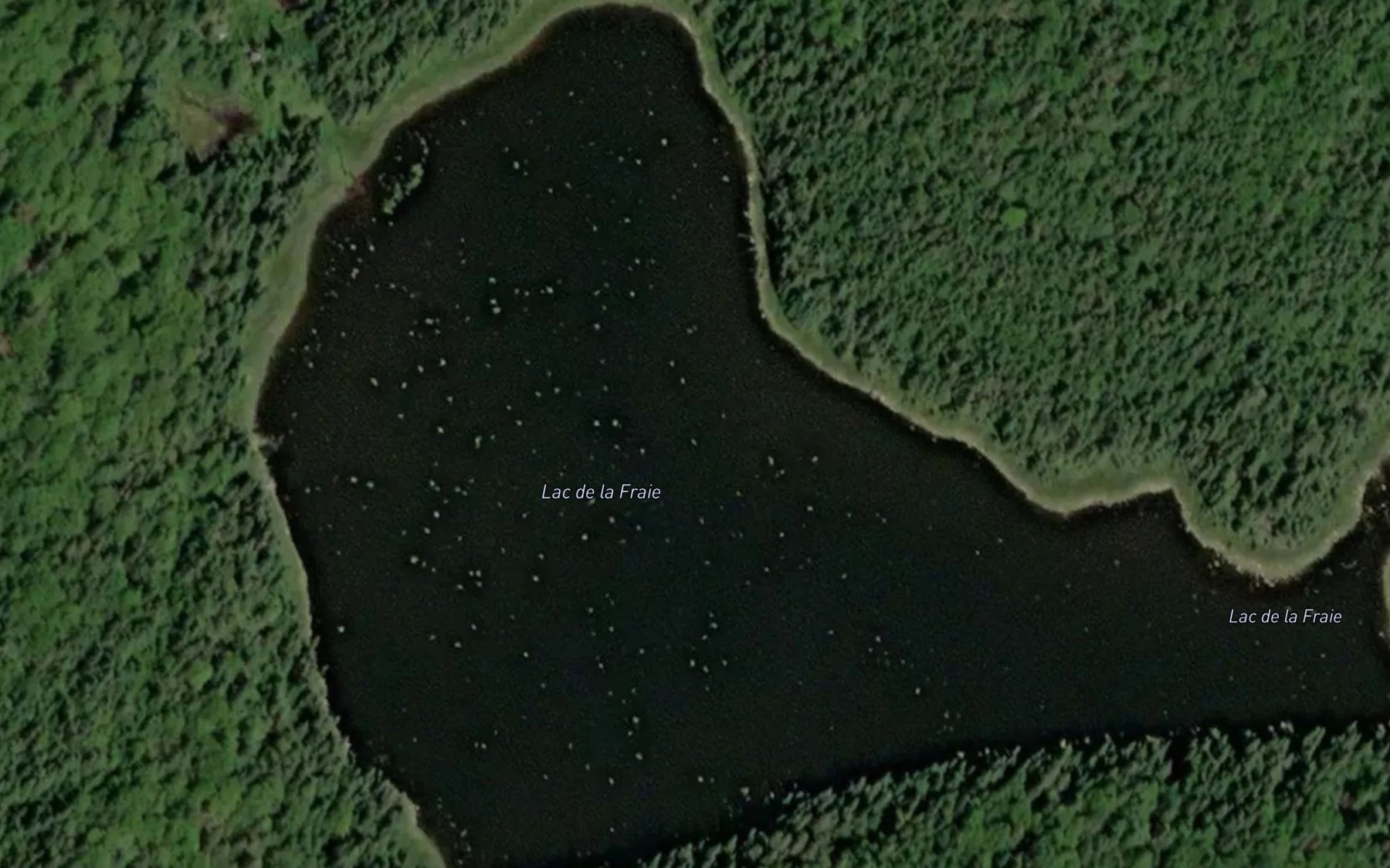 Satellite map of the Lac de la Fraie