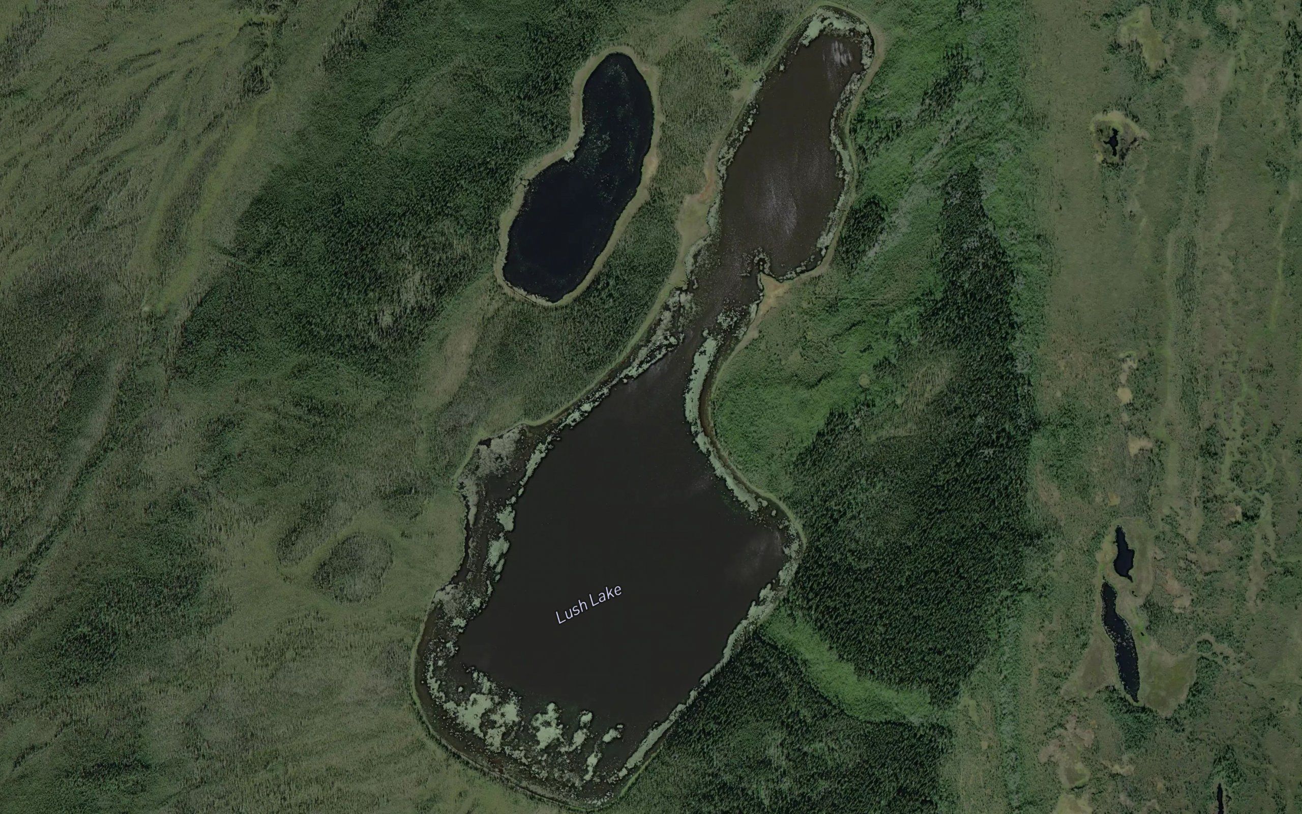 Lush Lake